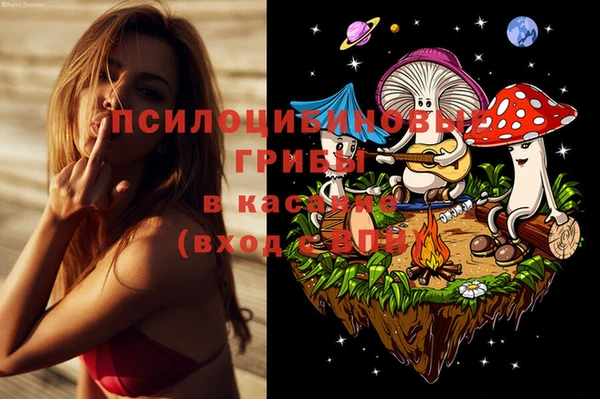 первитин Алексин