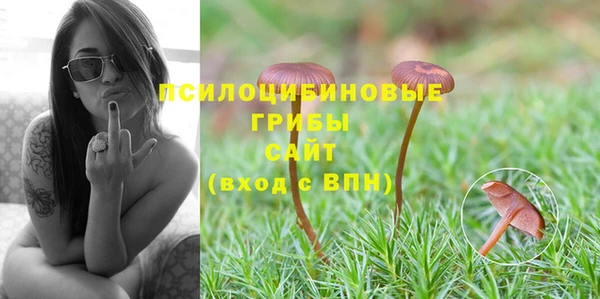 первитин Алексин